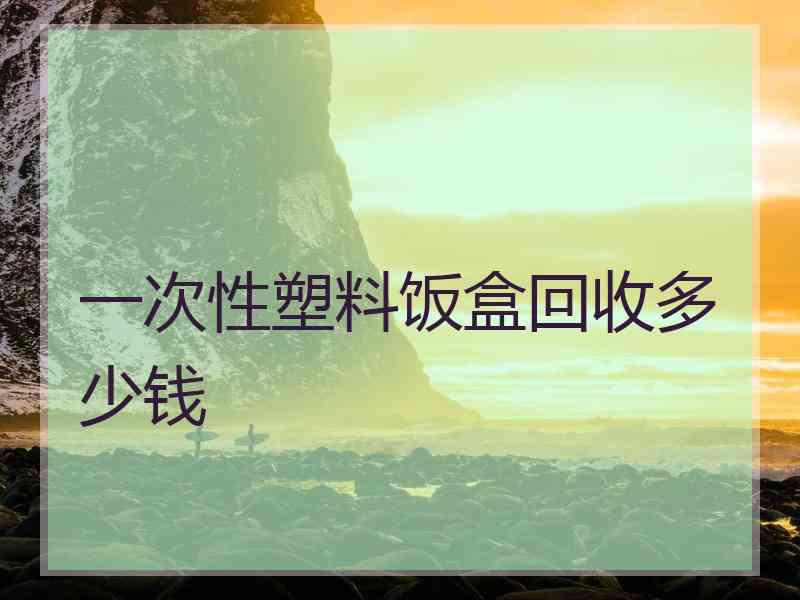 一次性塑料饭盒回收多少钱