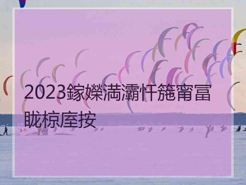 2023鎵嬫満灞忓箷甯冨眬椋庢按