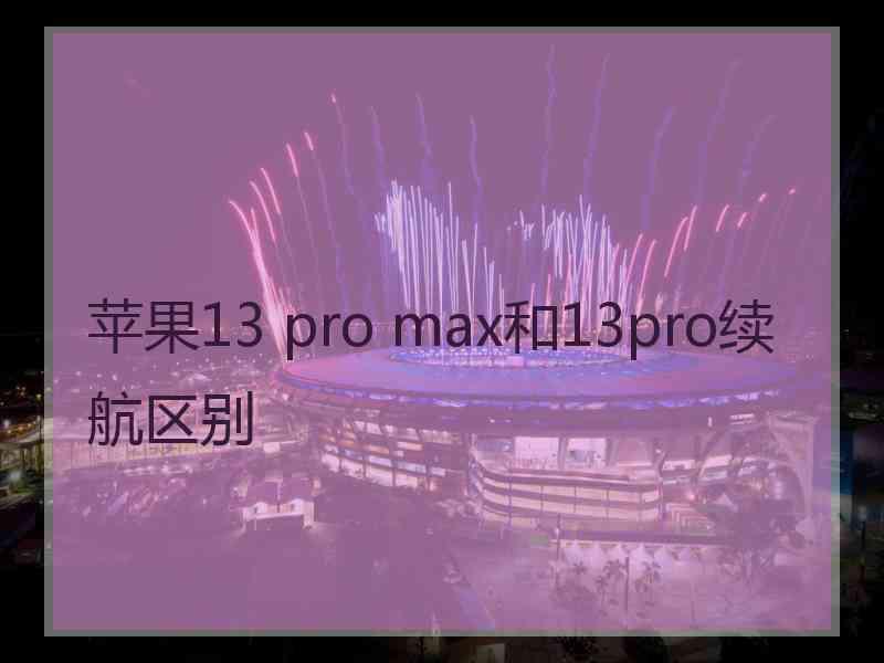 苹果13 pro max和13pro续航区别