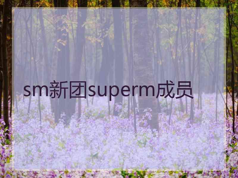 sm新团superm成员