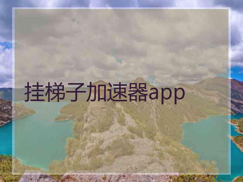 挂梯子加速器app