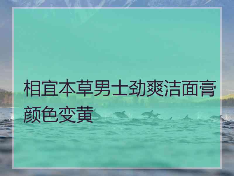 相宜本草男士劲爽洁面膏颜色变黄