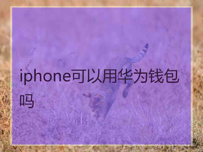 iphone可以用华为钱包吗