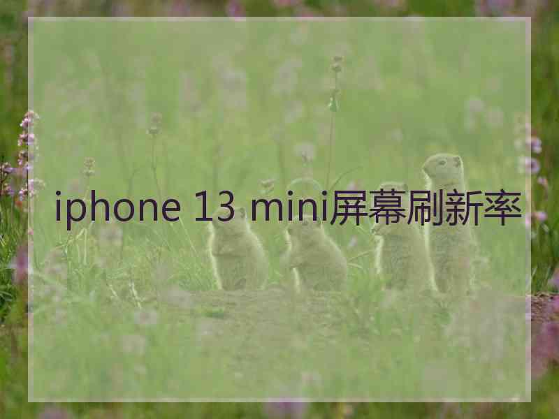 iphone 13 mini屏幕刷新率