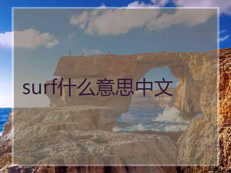 surf什么意思中文