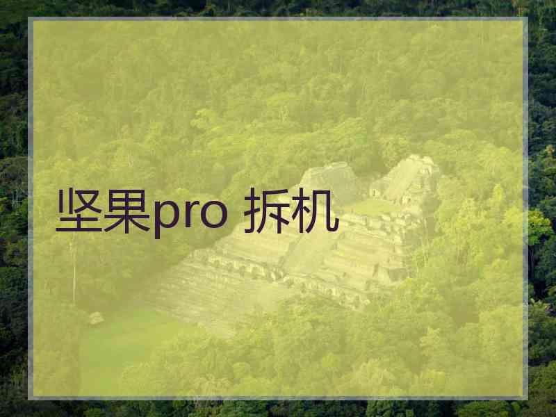 坚果pro 拆机