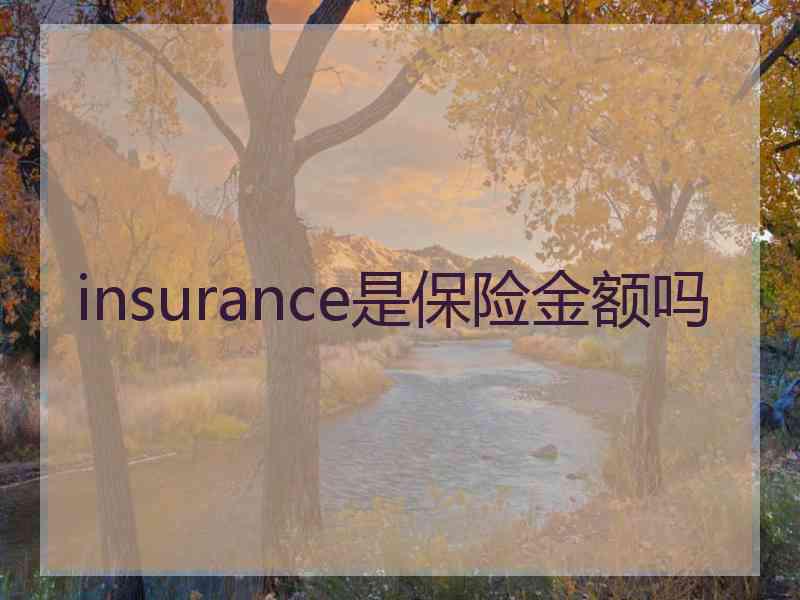 insurance是保险金额吗