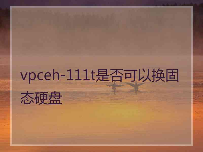 vpceh-111t是否可以换固态硬盘