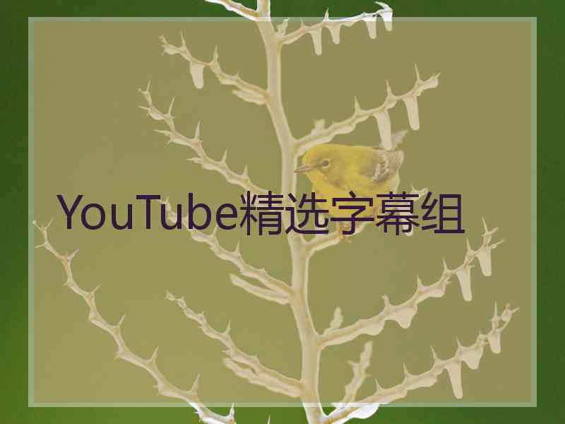 YouTube精选字幕组