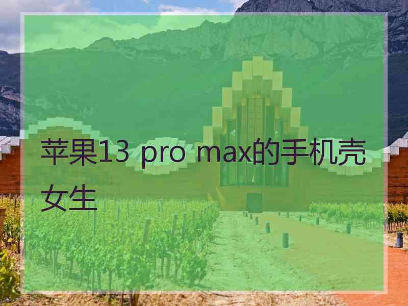 苹果13 pro max的手机壳女生