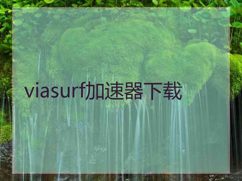 viasurf加速器下载