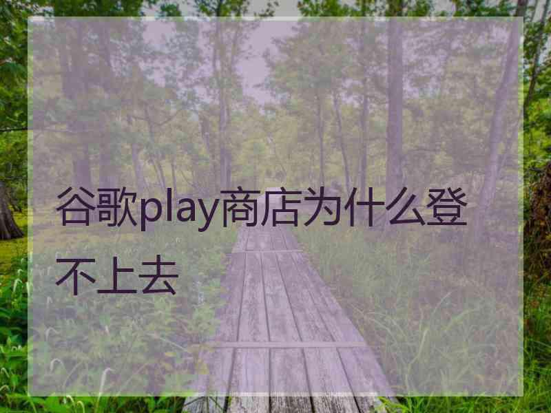 谷歌play商店为什么登不上去