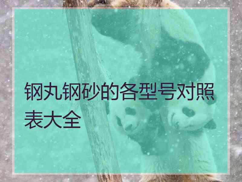 钢丸钢砂的各型号对照表大全