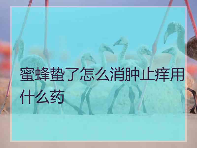 蜜蜂蛰了怎么消肿止痒用什么药