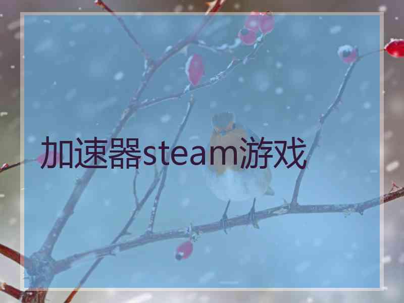 加速器steam游戏