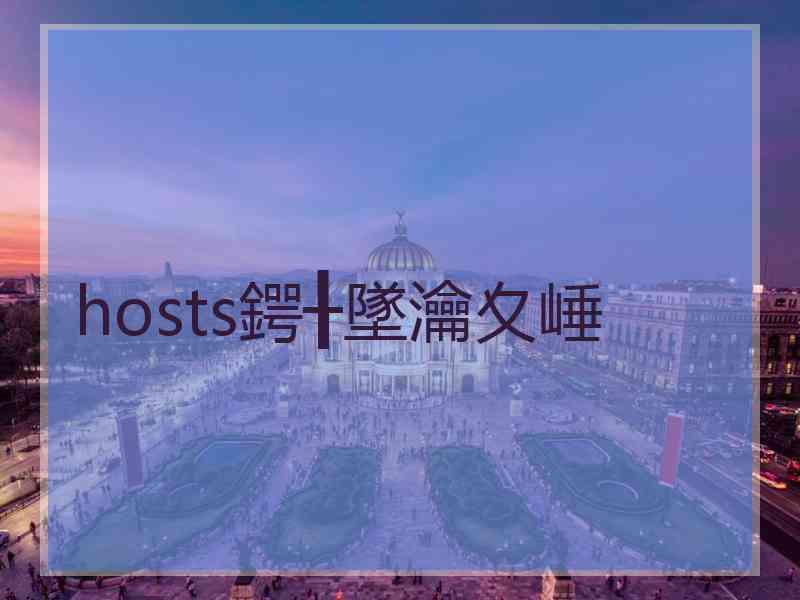 hosts鍔╂墜瀹夊崜