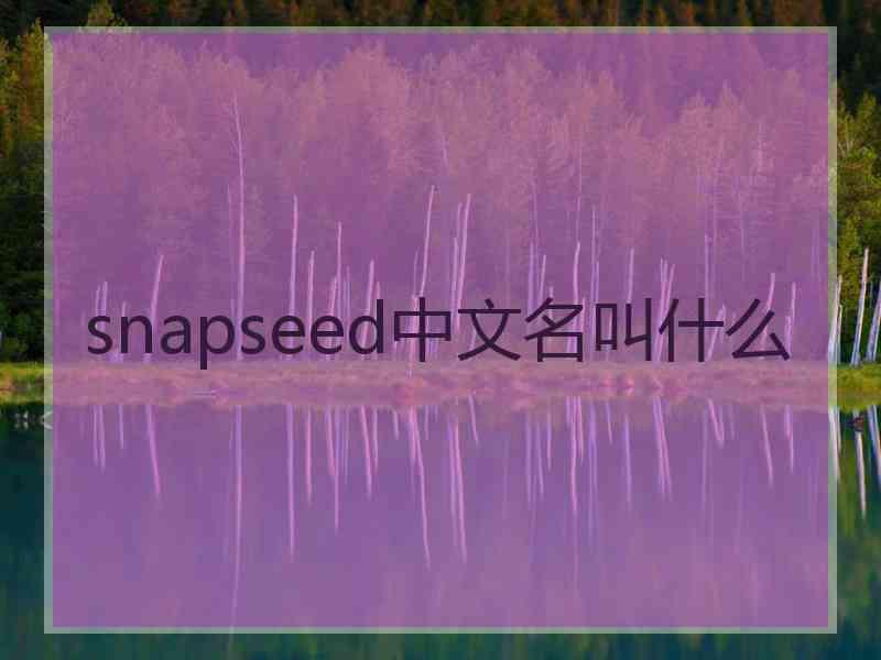 snapseed中文名叫什么