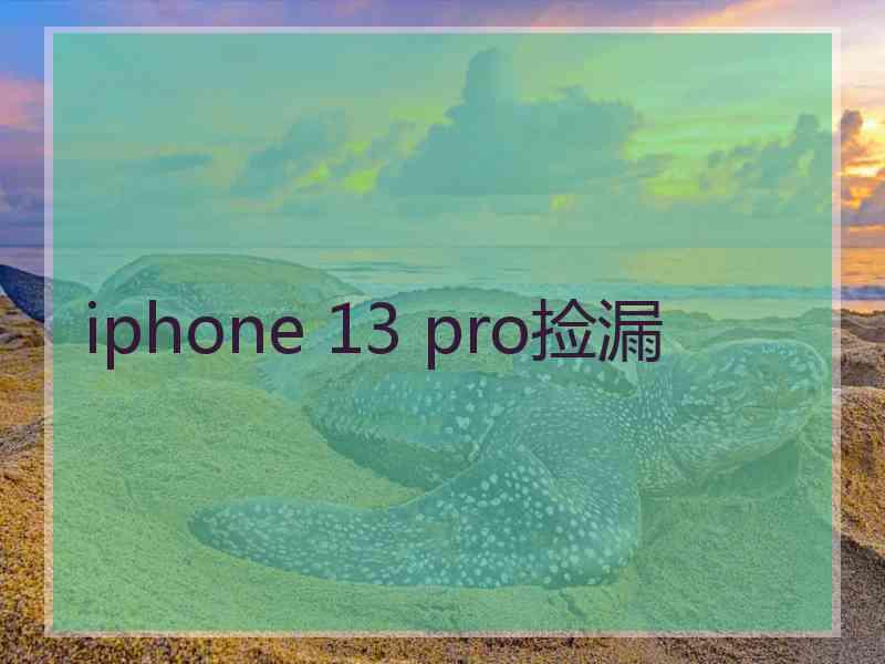 iphone 13 pro捡漏