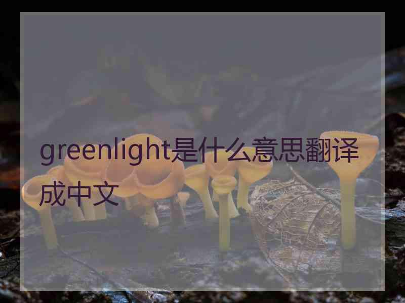 greenlight是什么意思翻译成中文