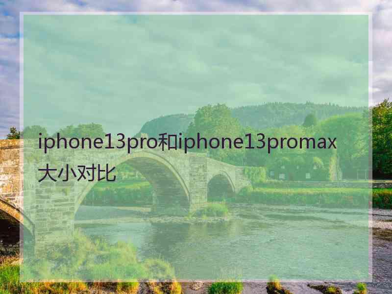 iphone13pro和iphone13promax大小对比