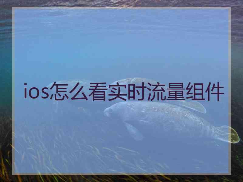 ios怎么看实时流量组件