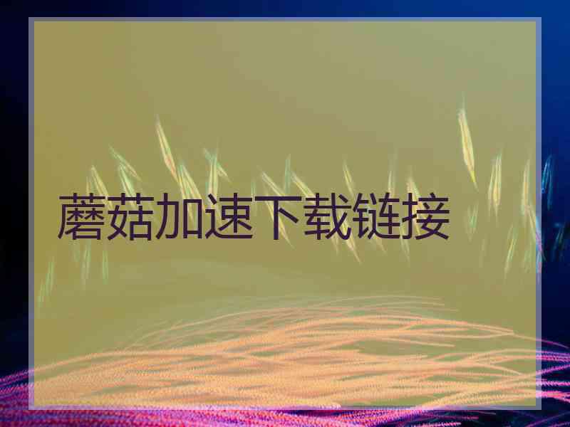 蘑菇加速下载链接