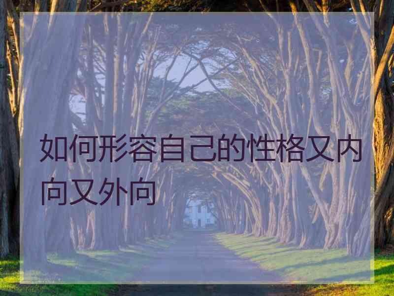 如何形容自己的性格又内向又外向