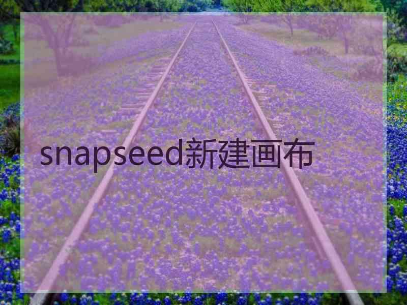 snapseed新建画布