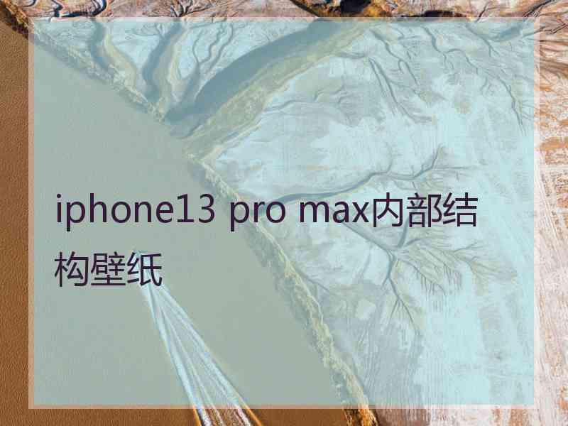 iphone13 pro max内部结构壁纸