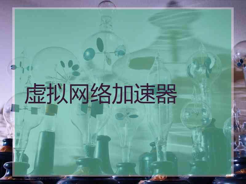 虚拟网络加速器