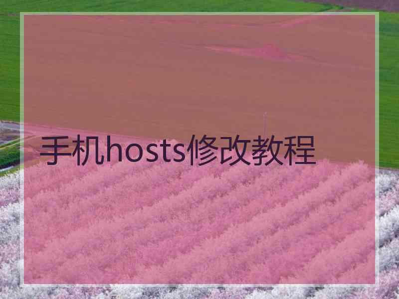 手机hosts修改教程