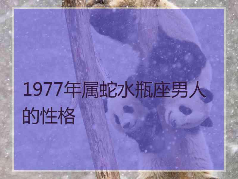 1977年属蛇水瓶座男人的性格