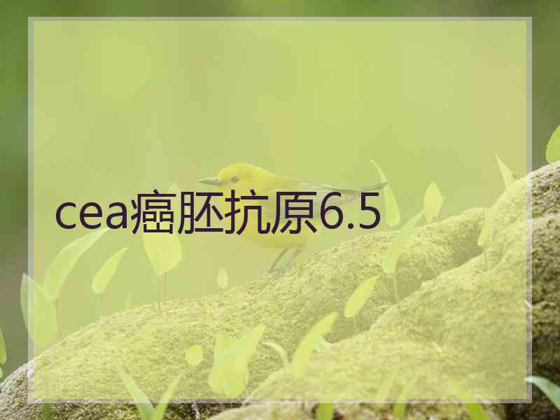 cea癌胚抗原6.5