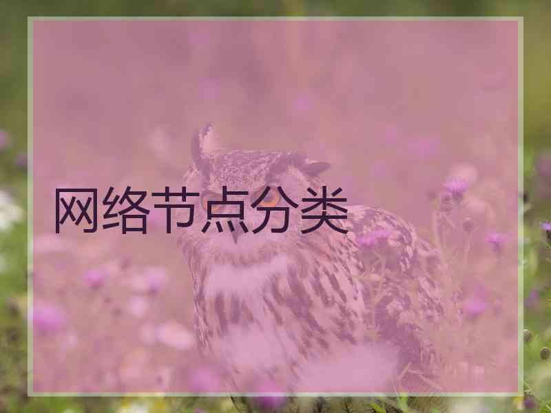 网络节点分类