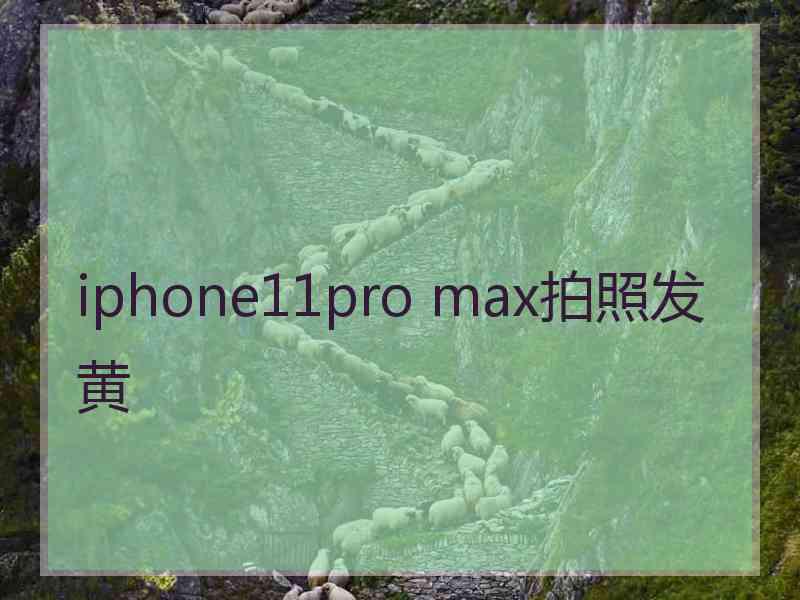 iphone11pro max拍照发黄