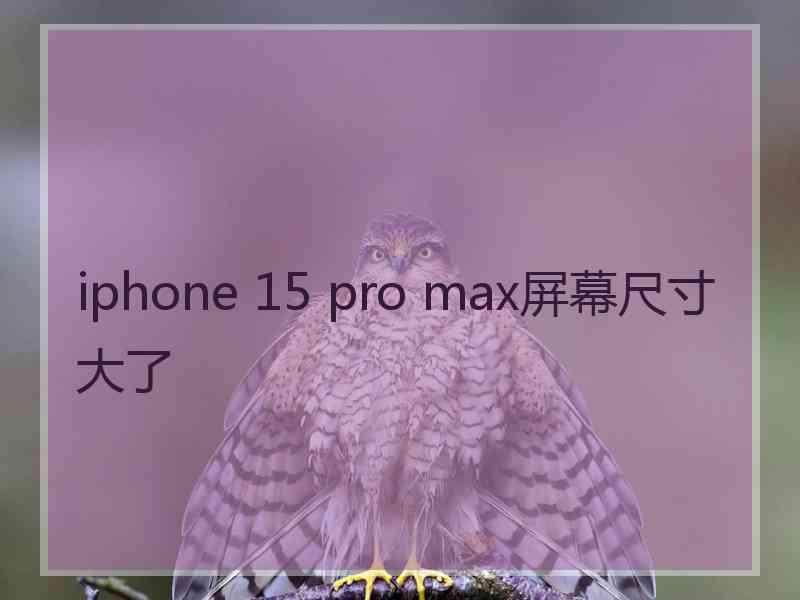 iphone 15 pro max屏幕尺寸大了