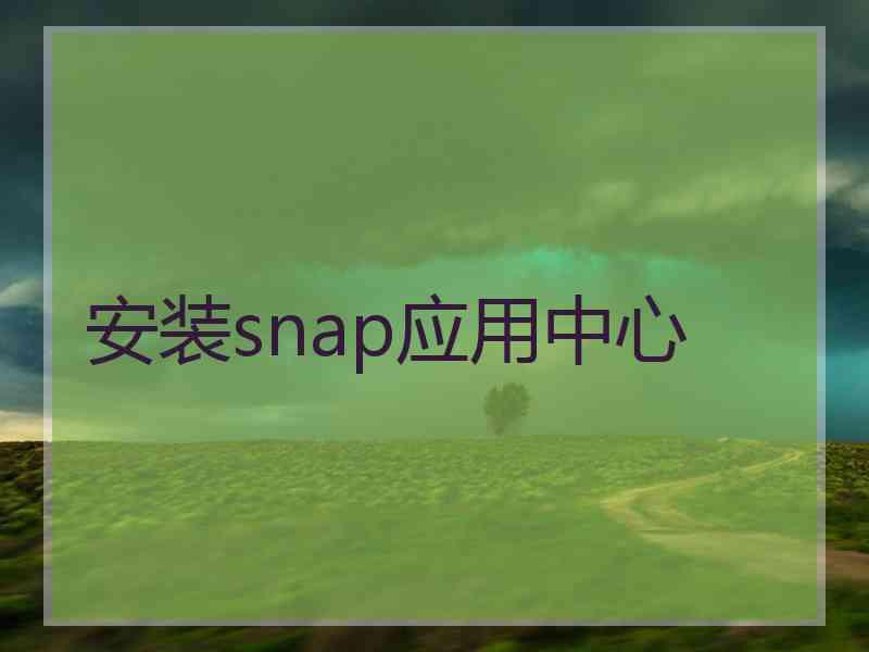 安装snap应用中心