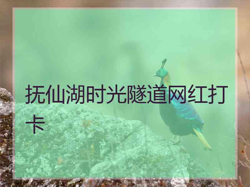 抚仙湖时光隧道网红打卡