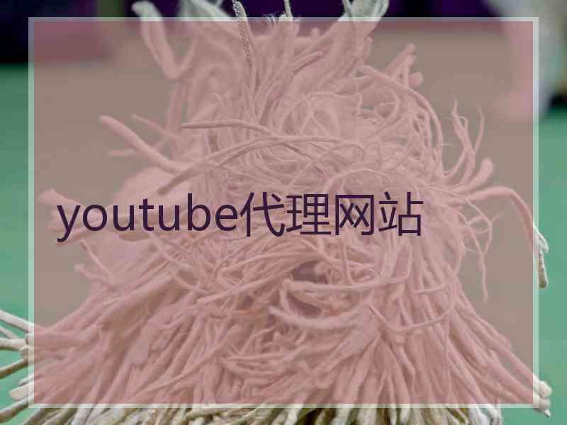 youtube代理网站