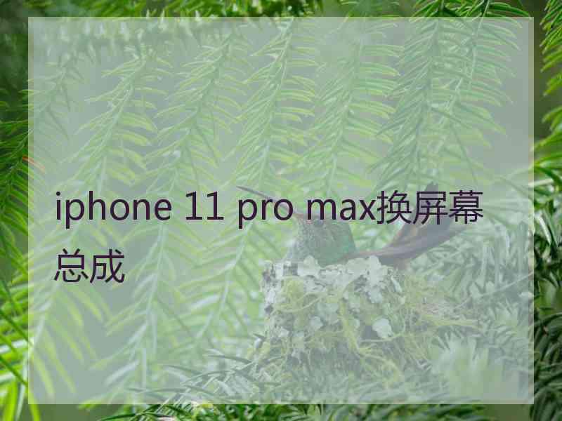 iphone 11 pro max换屏幕总成