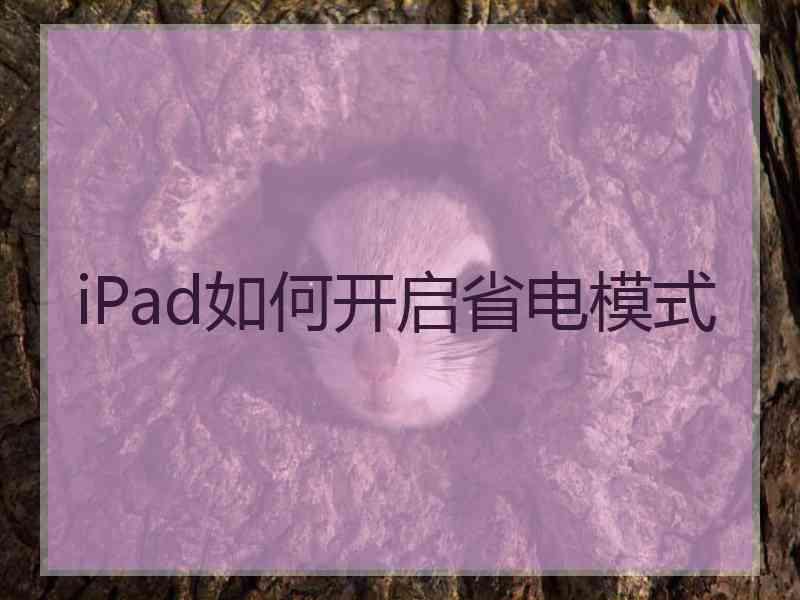 iPad如何开启省电模式