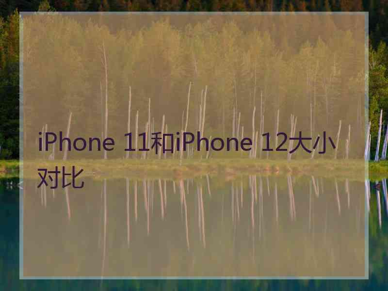 iPhone 11和iPhone 12大小对比