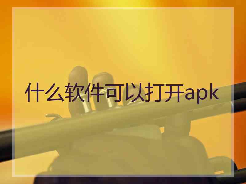 什么软件可以打开apk