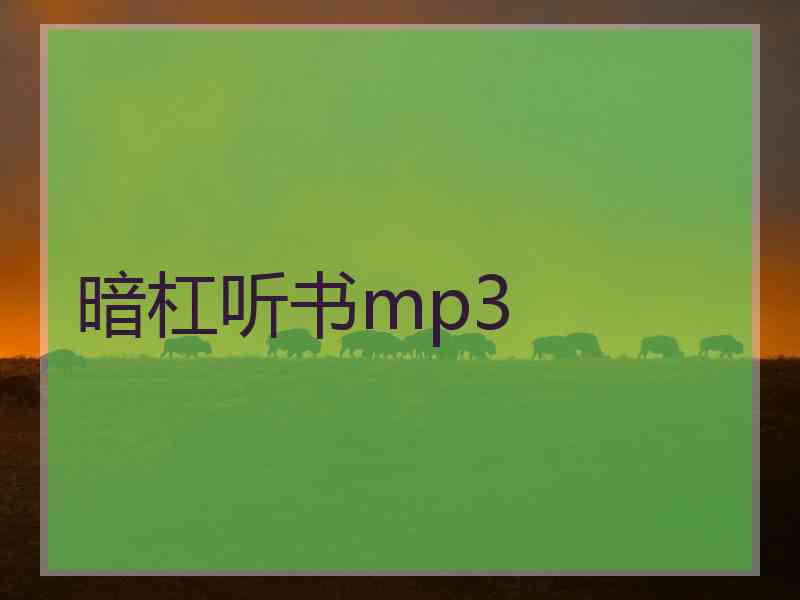 暗杠听书mp3