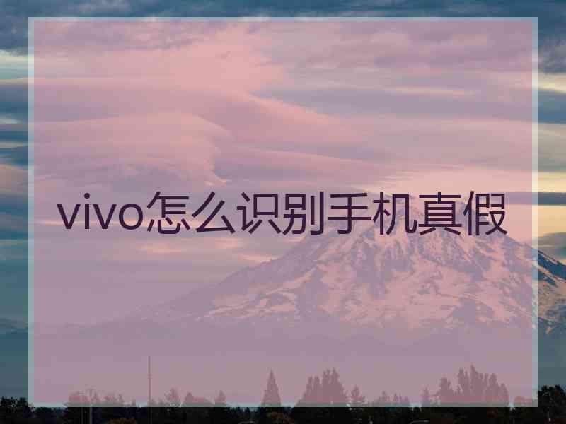 vivo怎么识别手机真假