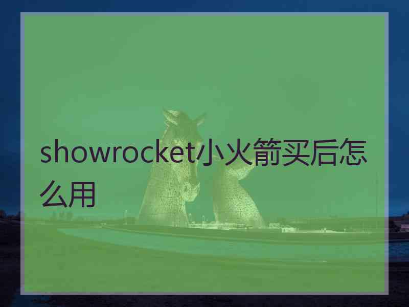 showrocket小火箭买后怎么用