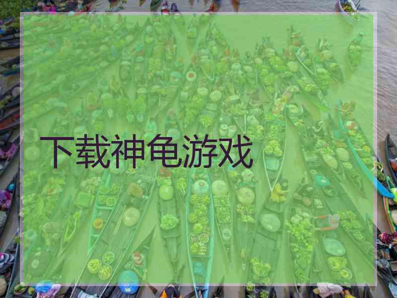 下载神龟游戏