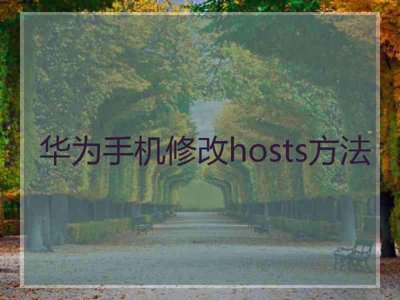 华为手机修改hosts方法