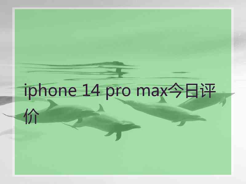 iphone 14 pro max今日评价