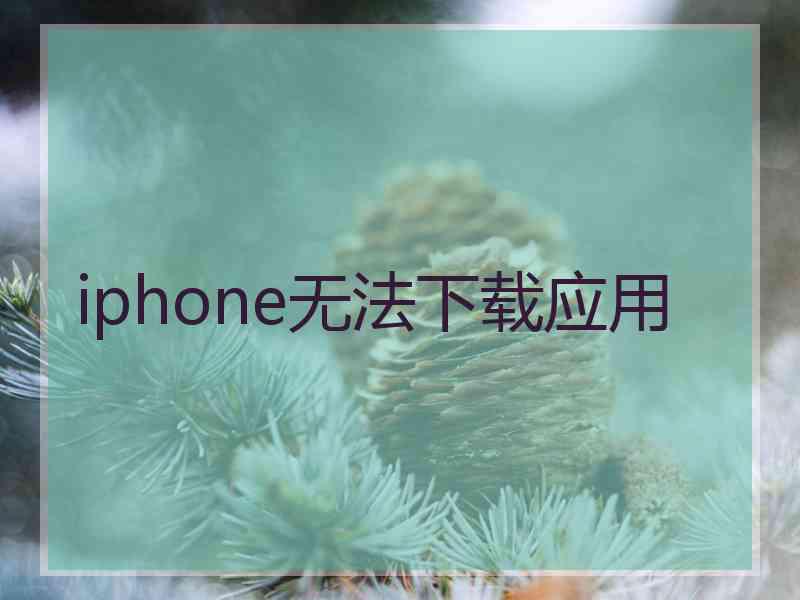 iphone无法下载应用